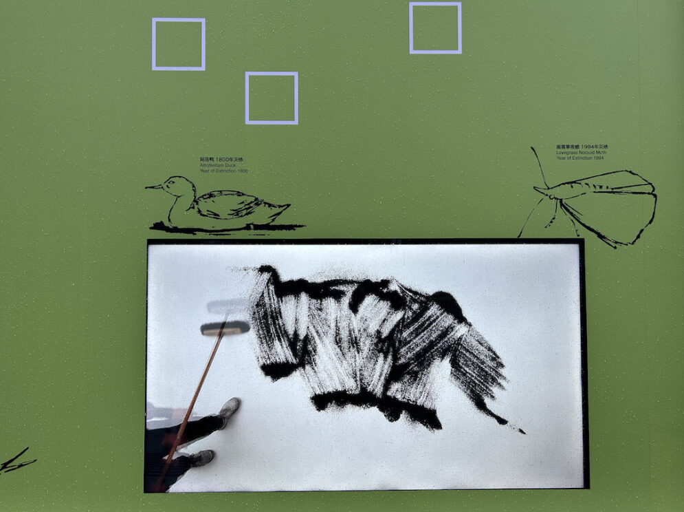 Mirror of Nature Vernissage 6 Mirror of Nature Vernissage 6